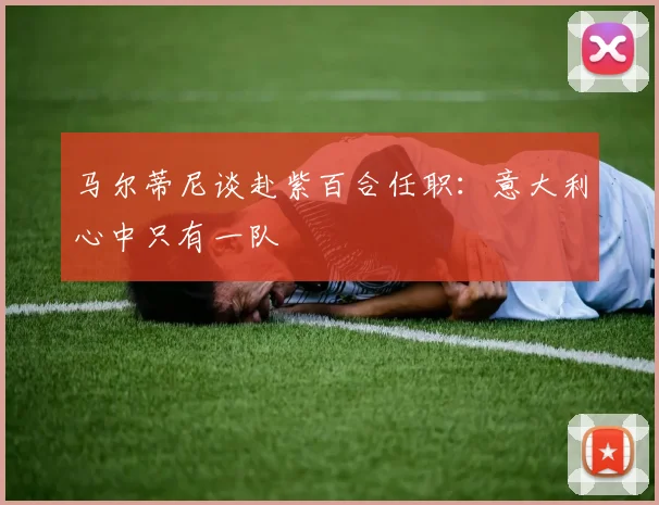 马尔蒂尼谈赴紫百合任职：意大利心中只有一队