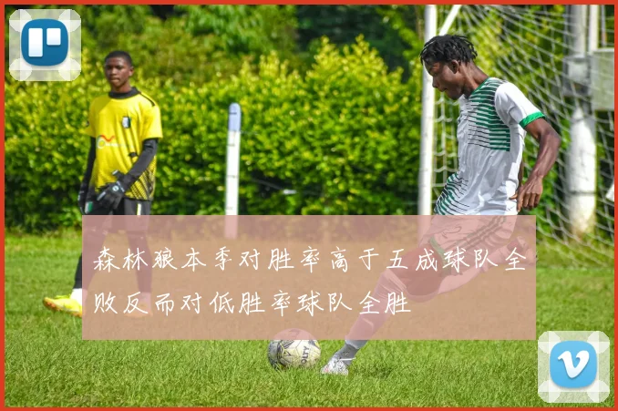 森林狼本季对胜率高于五成球队全败反而对低胜率球队全胜