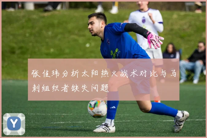 张佳玮分析太阳热火战术对比与马刺组织者缺失问题
