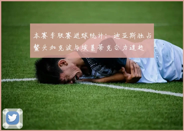 本赛季联赛进球统计：迪亚斯独占鳌头加克波与埃基蒂克合力追赶
