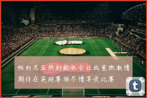 帕利尼亚热刺新机会让我重燃激情期待在英超赛场尽情享受比赛